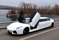 Лимузин Lamborghini Reventon на прокат в Киеве - фото 6 - прокат лимузинов Киев